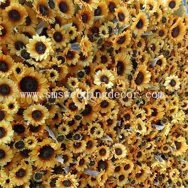 sunflower photo backdrop