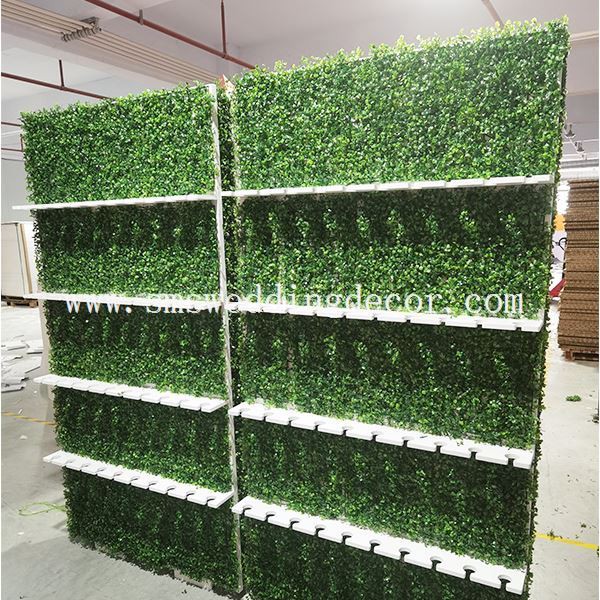 Grass Champagne Wall